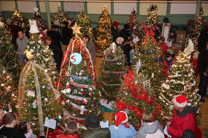 exeter festival of trees