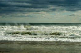 hampton beach boars head