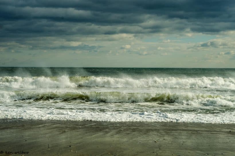 hampton beach boars head