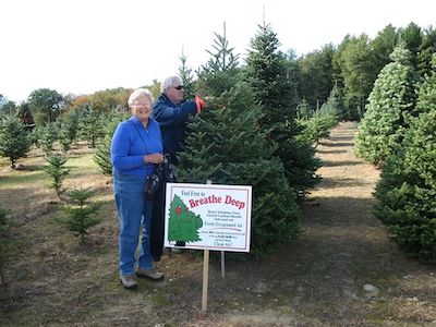 indian hill christmas trees