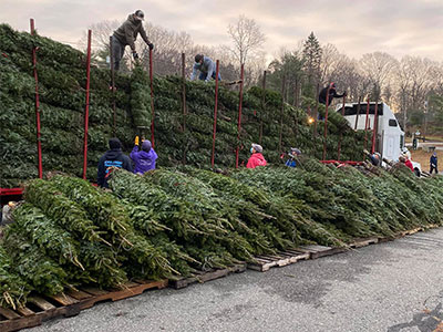 kittery lions christmas trees