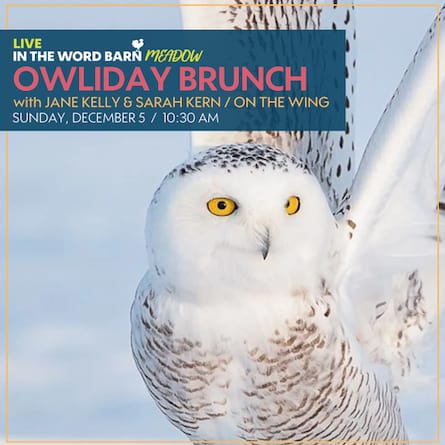 owliday brunch word barn