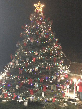 rochester christmas tree