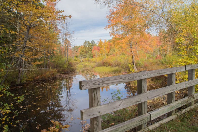 cotton wood trail wolfeboro