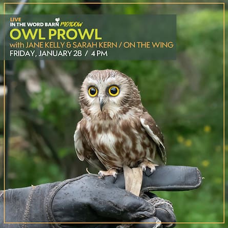 owl prowl word barn