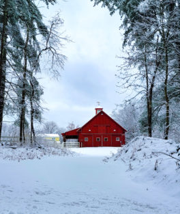 red barn kensington nh