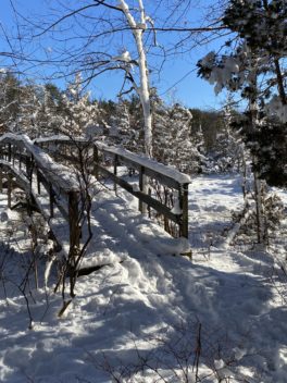 great bay stratham nh