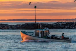 hampton harbor boat