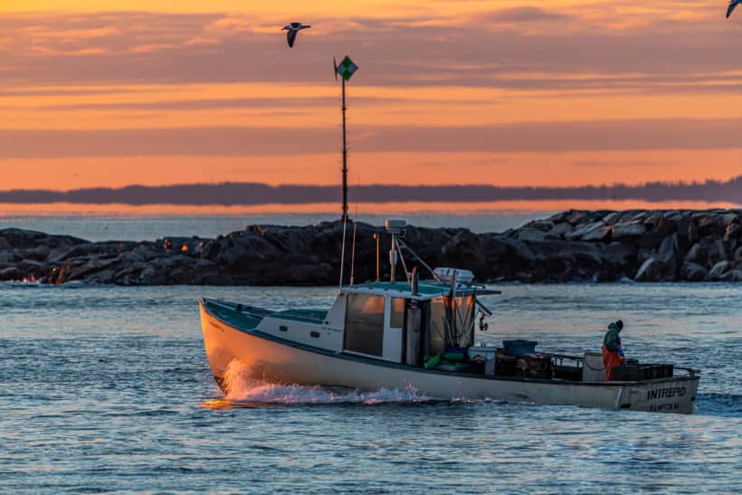 hampton harbor boat