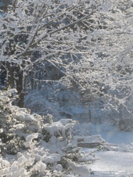 snow cape neddick