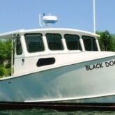 black dog charter