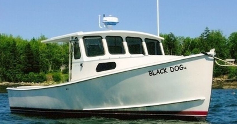 black dog charter