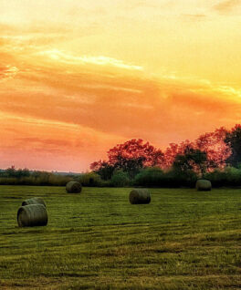 hay bales stratham nh