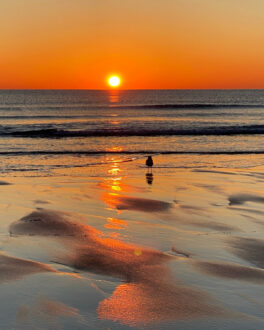 hampton beach morning