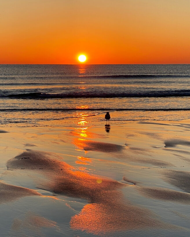 hampton beach morning