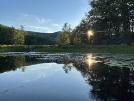 garland pond moultonborough