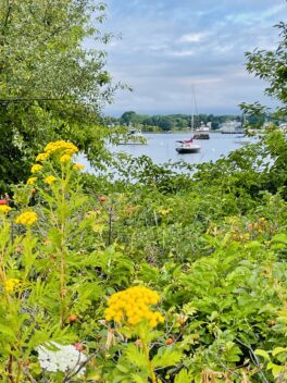 peirce island piscataqua portsmouth