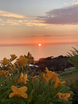 short sands beach sunrise