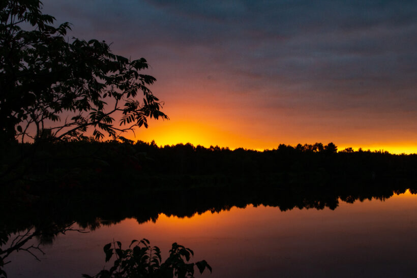 pickering pond rochester nh