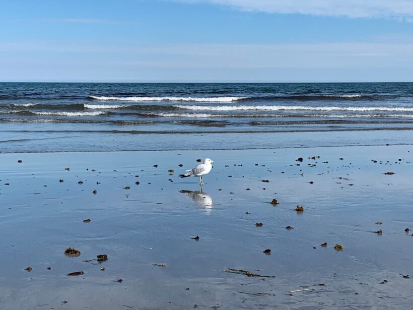 york beach maine