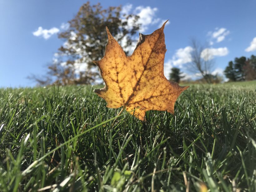 fall foliage exeter nh