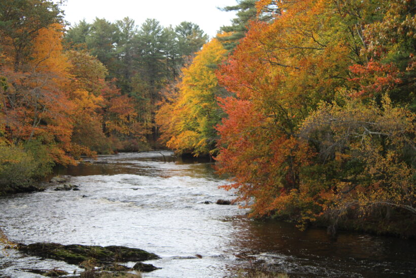 fall foliage dover nh