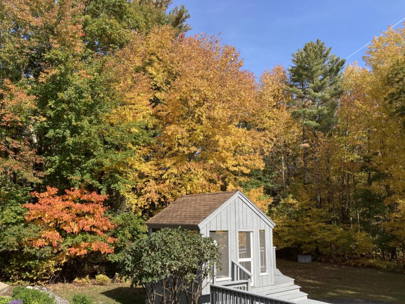 fall foliage barrington nh