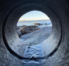 odiorne point state park