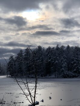 long marsh durham nh