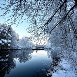 cochecho river winter dover