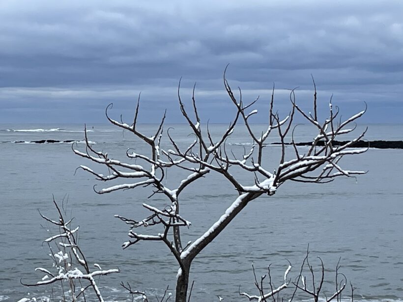 fort foster winter kittery