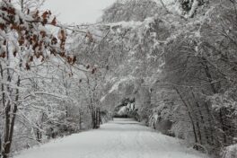 winter rochester nh