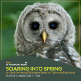soaring spring word barn