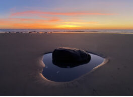 tidepool north beach nh