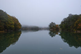 kittery point maine fog