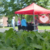 dover farmers market nh