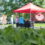 dover farmers market nh