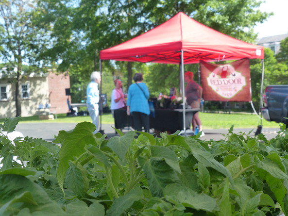 dover farmers market nh