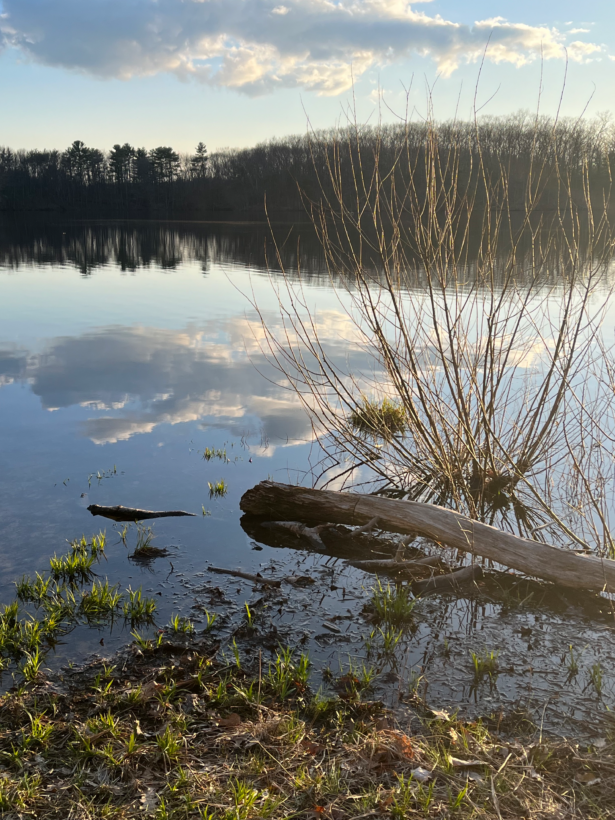 ell pond wells maine