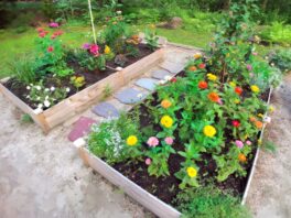 stratham flower beds nh