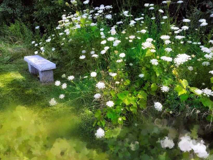 swasey park exeter nh