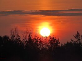 sunrise exeter nh