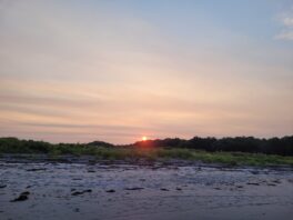 seapoint beach sunset kittery