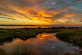 new castle commons sunrise