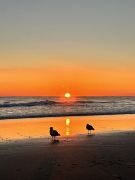 short sands beach sunrise