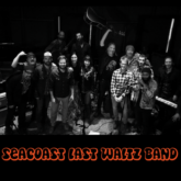 seacoast last waltz band