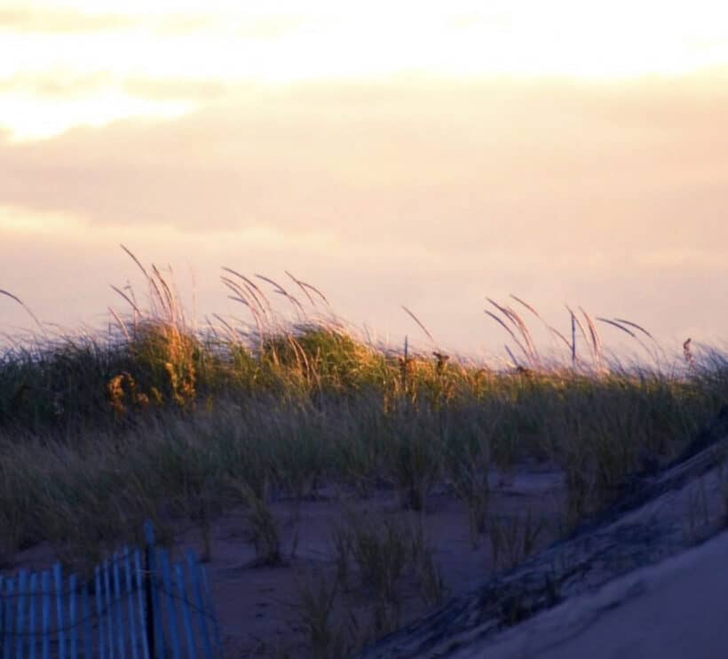 plum island