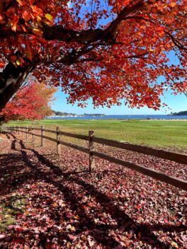 new castle fall foliage