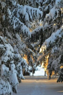 newburyport mass snow