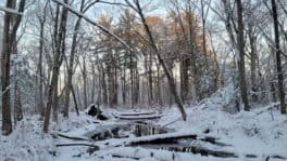 shawsheen trail andover mass
